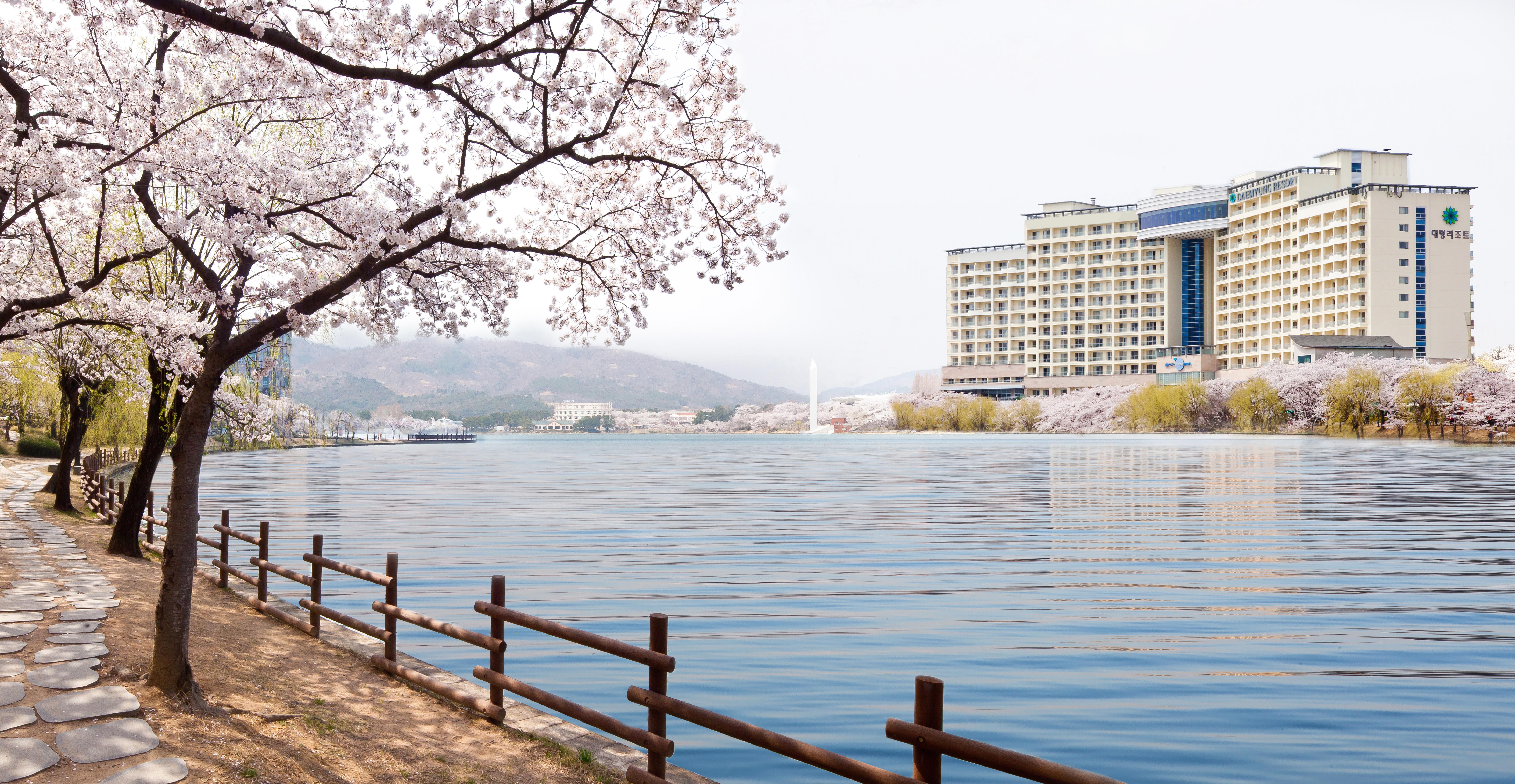 Sono Belle Gyeongju Hotell Eksteriør bilde